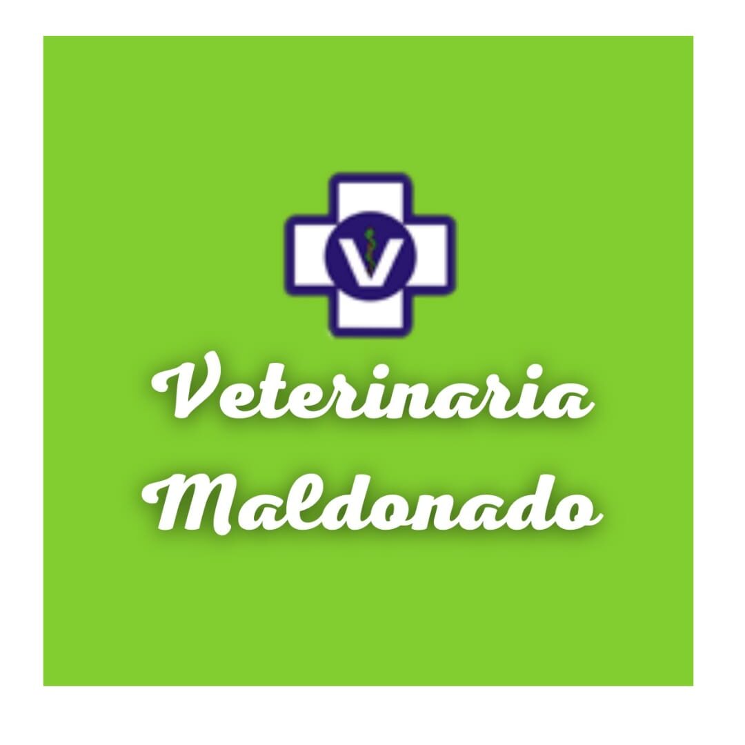 trabaja con crea impacto veterinaria maldonado